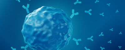 An illustration of a B cell secreting autoantibodies.