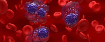 An illustration of circulating tumor cells surrounded by red blood cells.