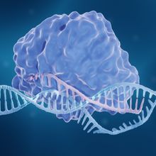 Molecular illustration of CRISPR editing the DNA double helix