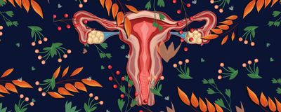 An artistic illustration of the female reproductive system.