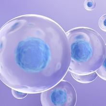 Discover How Levitation Technology Enables Better Cell Samples and New Discoveries