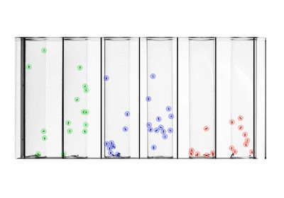 Six tubes, each with black dots representing flies, each fly encircled in blue, green, or red.