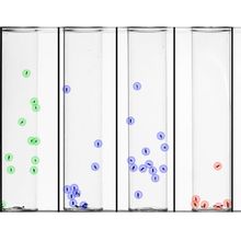 Six tubes, each with black dots representing flies, each fly encircled in blue, green, or red.