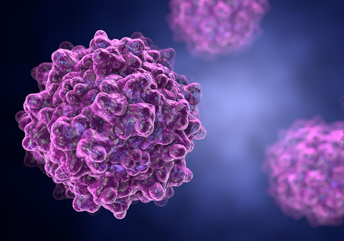 An illustration of an adeno-associated virus.