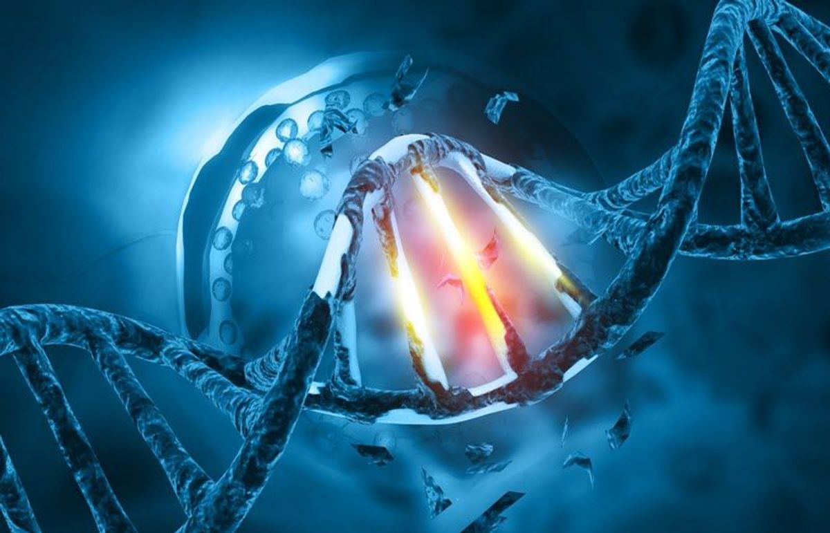 a DNA double helix with damaged sections