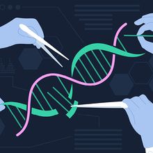 Conceptual vector illustration depicting CRISPR gene editing by scientists for medical applications.