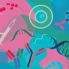 Learn about rapid cell screening for antibody therapeutic discovery