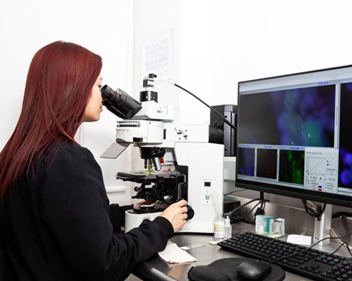 In situ hybridization procedure being conducted in a laboratory.