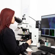 In situ hybridization procedure being conducted in a laboratory.