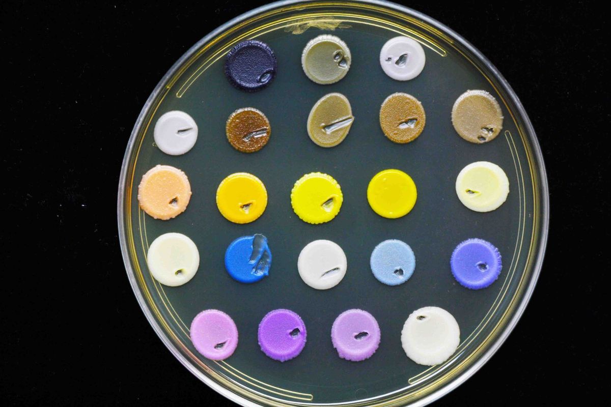 Image of a petri dish with individual dollops of pigmented yeast with colors ranging from white, yellow, orange, purple, brown, to blue.