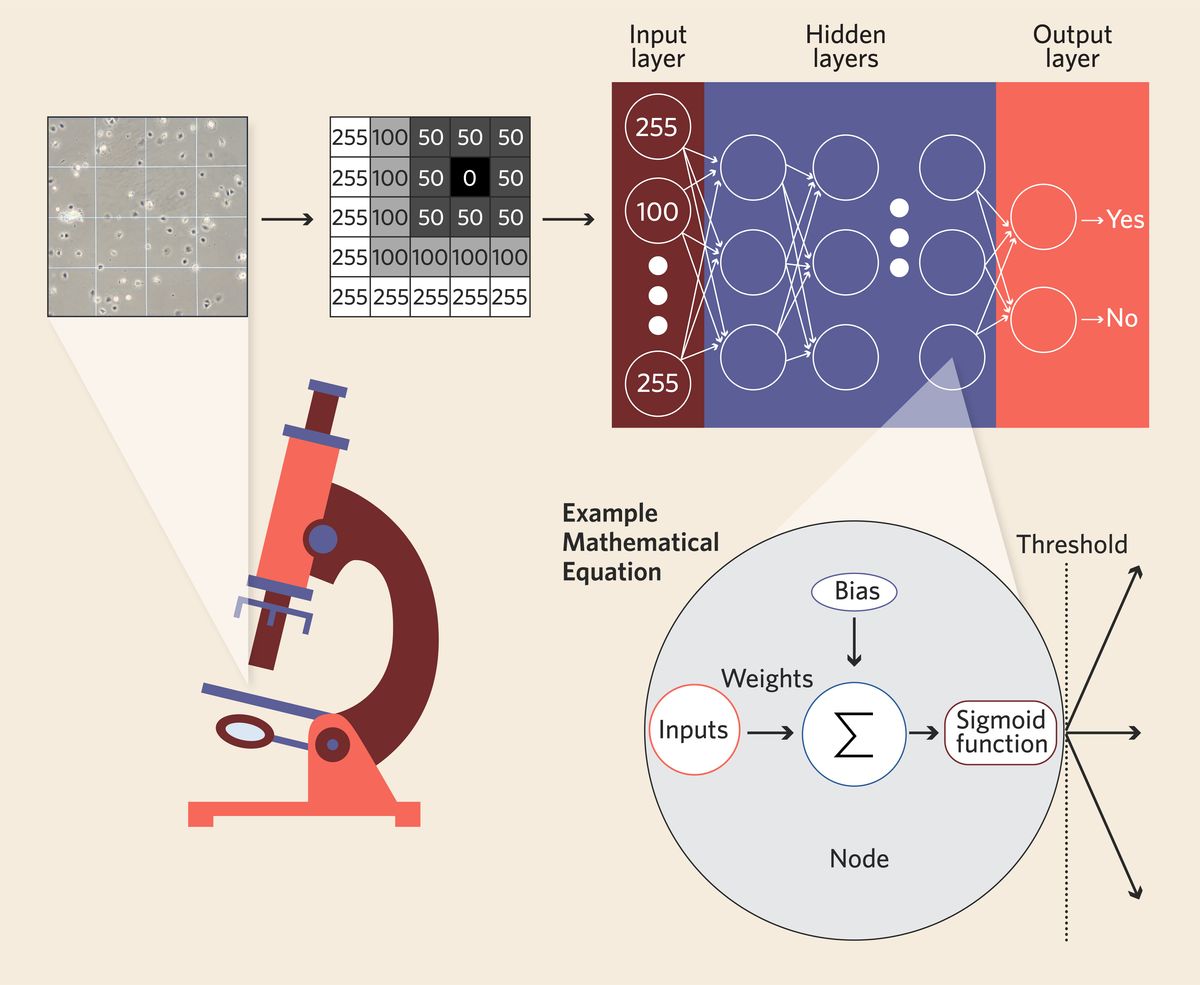 Visualization of how a neural network converts an image into numerical values and the equations used in the nodes of the hidden layers.