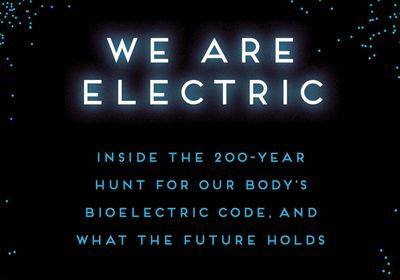 <em>We are Electric</em> book cover