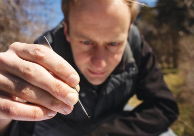 A close up of a tick held in a pair of forceps, with Kevin Esvelt&rsquo;s face out of focus in the background.