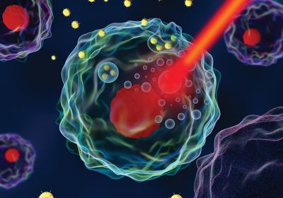 A cell with gold particles inside is hit with a red laser.