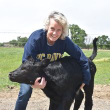 Image of Alison Van Eenennaam holding a black calf in her arms as they pose for the camera.