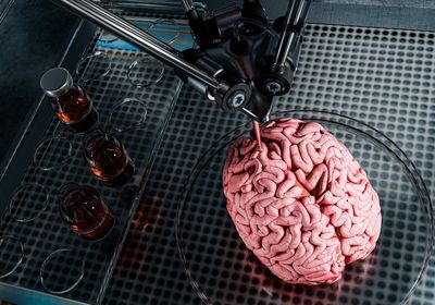 Rendering of a 3D printer working on bioprinting human brain tissue.