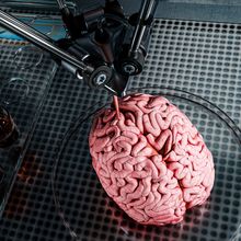 Rendering of a 3D printer working on bioprinting human brain tissue.