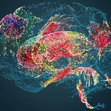 Digital illustration of a brain, constructed by tiny dots and lines. Most dots and lines are teal-colored; others are green, yellow, red, and purple to denote areas of activity.