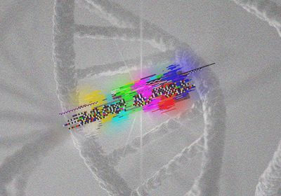 Composition of DNA with a glitch effect