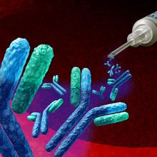 Image showing monoclonal antibody treatment