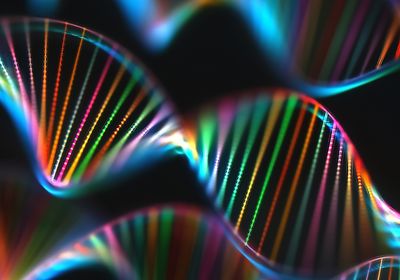 Rainbow colored DNA strand