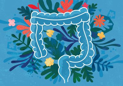 Conceptual illustration of a happy gut with colorful flowers on a blue background.