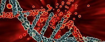 3D Illustration of a DNA molecule breaking apart into red pieces.