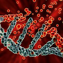 3D Illustration of a DNA molecule breaking apart into red pieces.