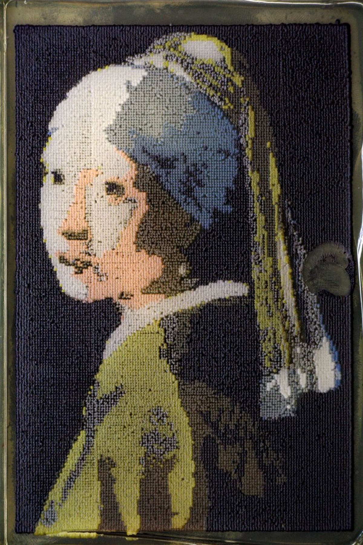 Yeast art recreation of Johannes Vermeer’s The Girl with a Pearl Earring. 