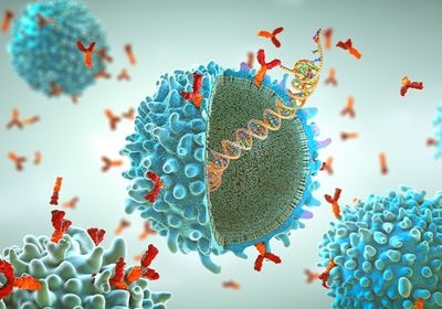 An illustration showing the DNA inside an immune cell. Other immune cells are shown in the background.&nbsp;