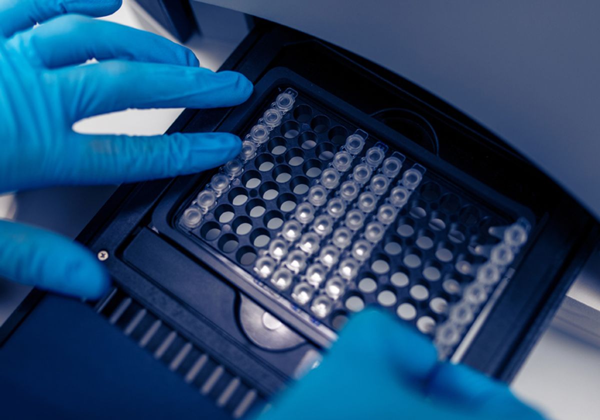 PCR tubes placed into the 96-well loading chamber of a PCR thermocycler instrument.