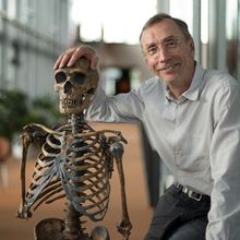 Svante P&auml;&auml;bo with a skeleton