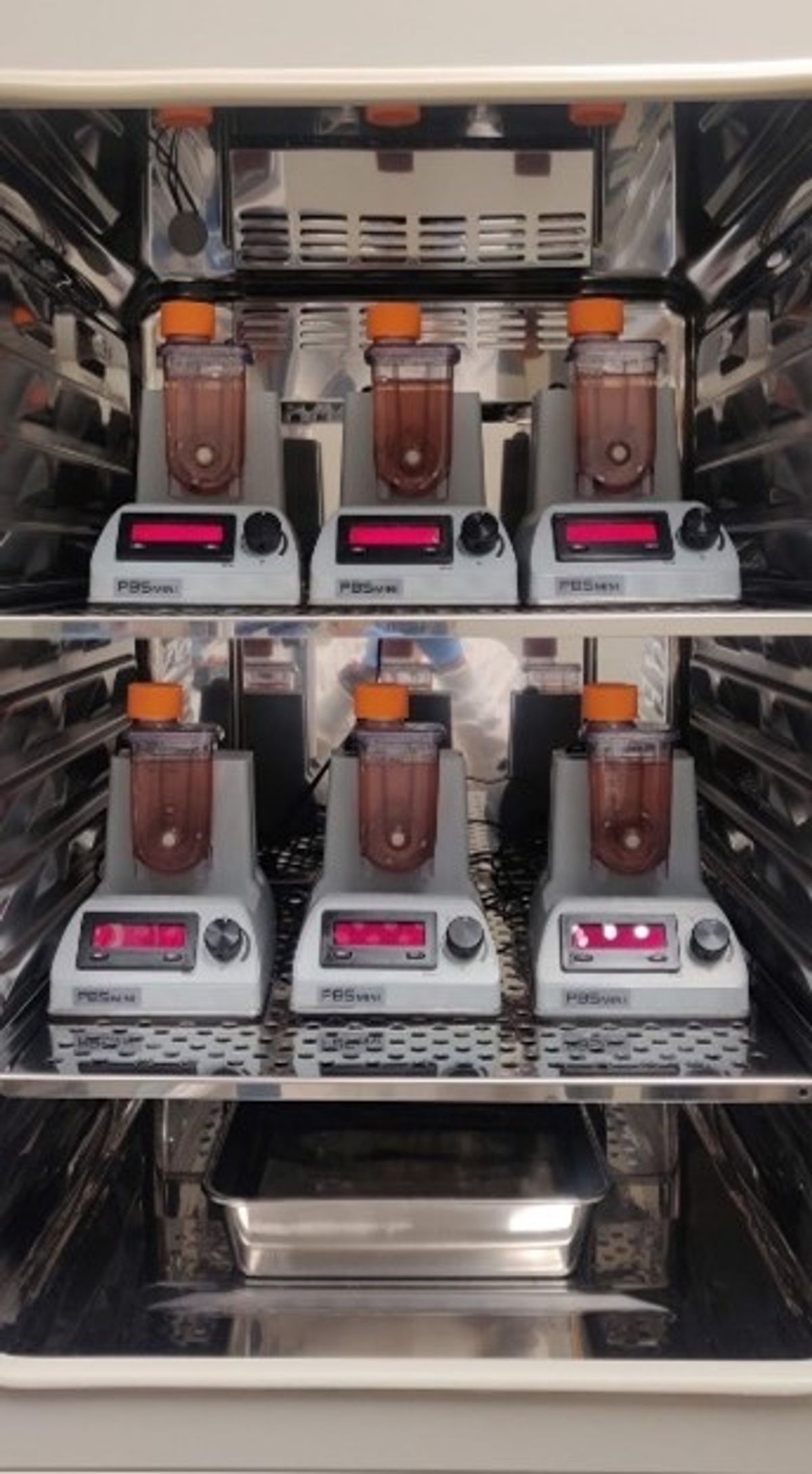 Bioreactors inside an incubator.