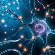 Neuronal network with electrical activity of neuron cells in 3D