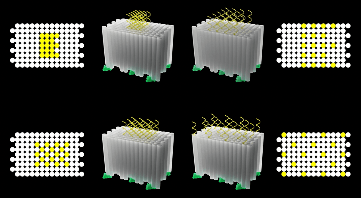 Four designs of DNA origami with different patterns of CpG spacing.