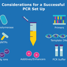 PCR setup thumbnail